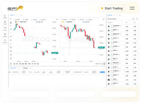 Effective Risk Management