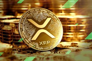 XRP Rises